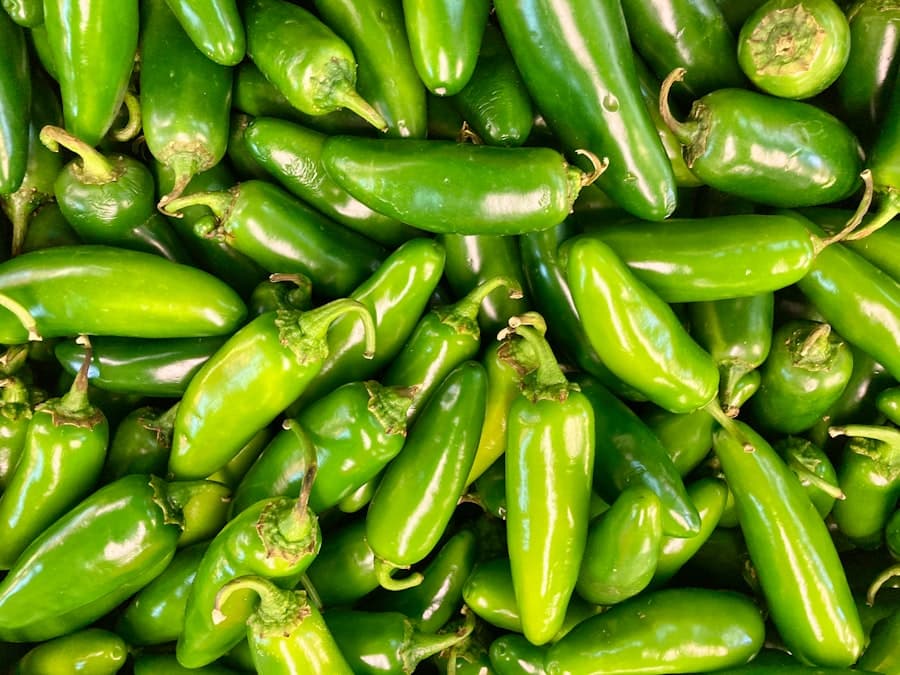 Jalapeño Peppers